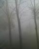 Heavy Fog