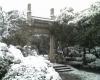 Snow In Jinan