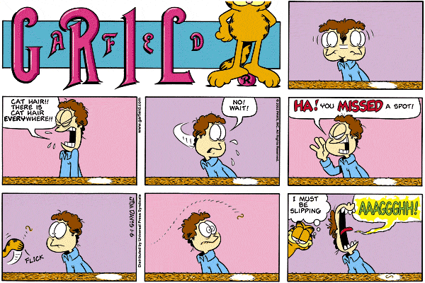 英文漫画加菲猫完整连载